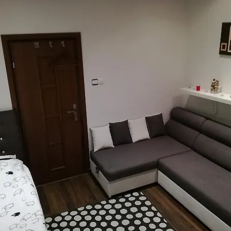View Premium For Rent