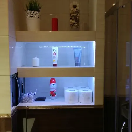 View Premium For Rent Apartment